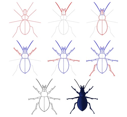 Une idée de scarabée (11) dessin
