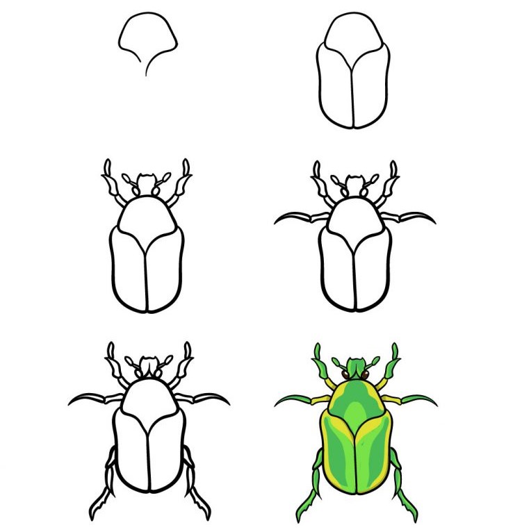Une idée de scarabée (15) dessin