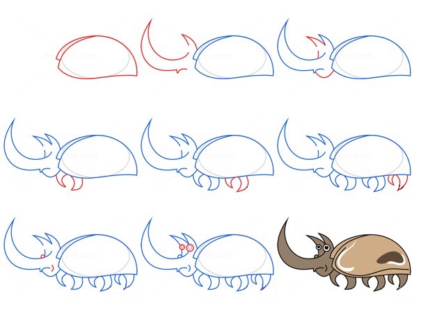 Une idée de scarabée (16) dessin