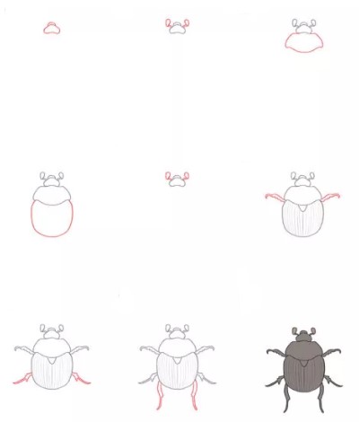 Une idée de scarabée (18) dessin