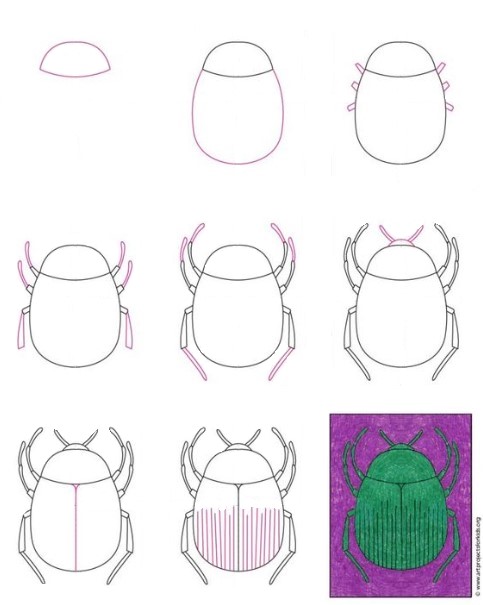 Une idée de scarabée (19) dessin