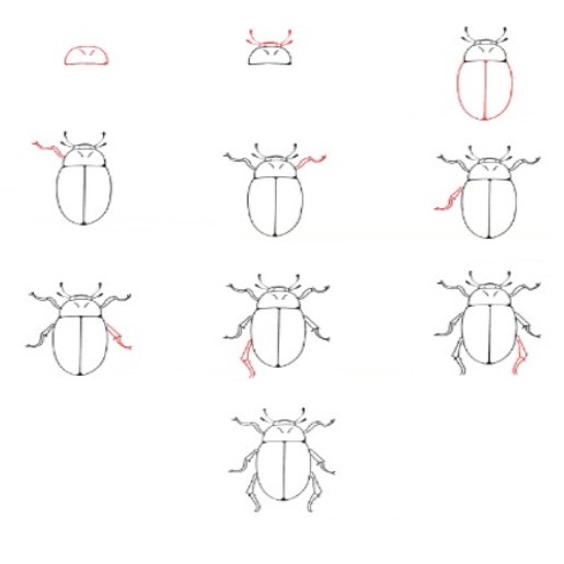 Une idée de scarabée (3) dessin