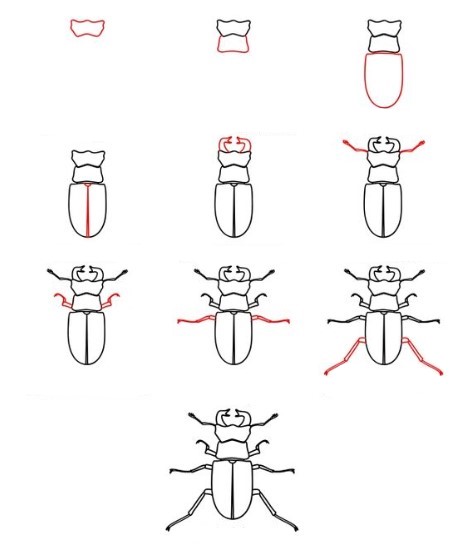 Une idée de scarabée (4) dessin