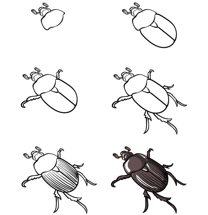 Une idée de scarabée (5) dessin