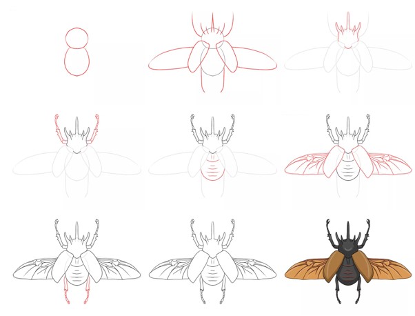 Une idée de scarabée (6) dessin