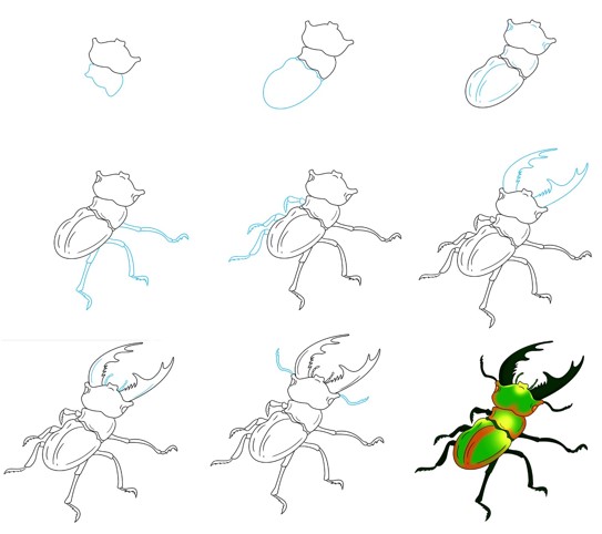 Une idée de scarabée (7) dessin