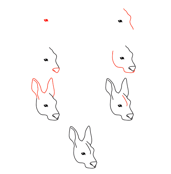 Visage de kangourou dessin