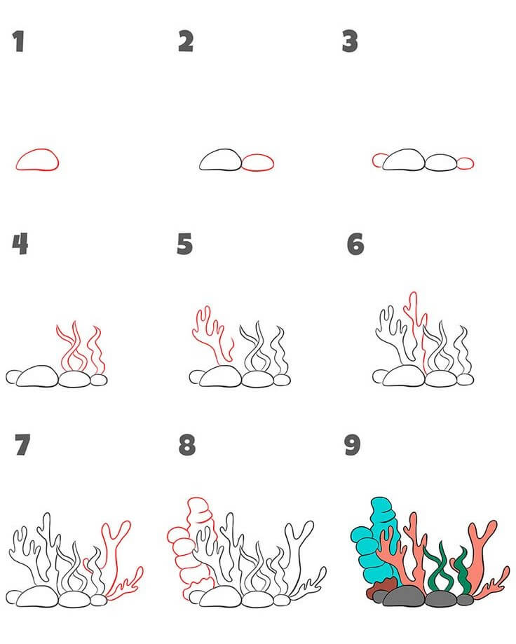 Zoanthides de corail dessin