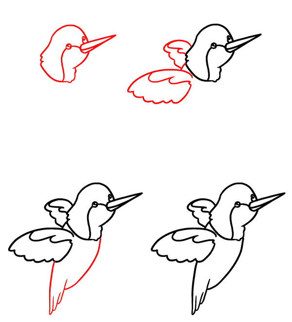 Bébé colibri dessin