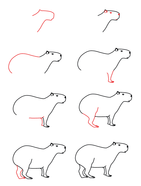 Capybara pour les enfants dessin