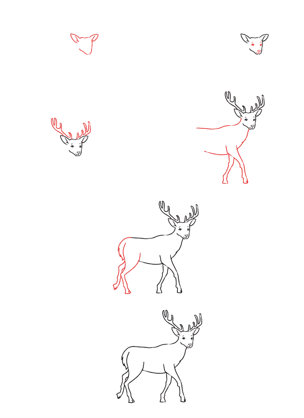 Cerf de dessin animé (4) dessin