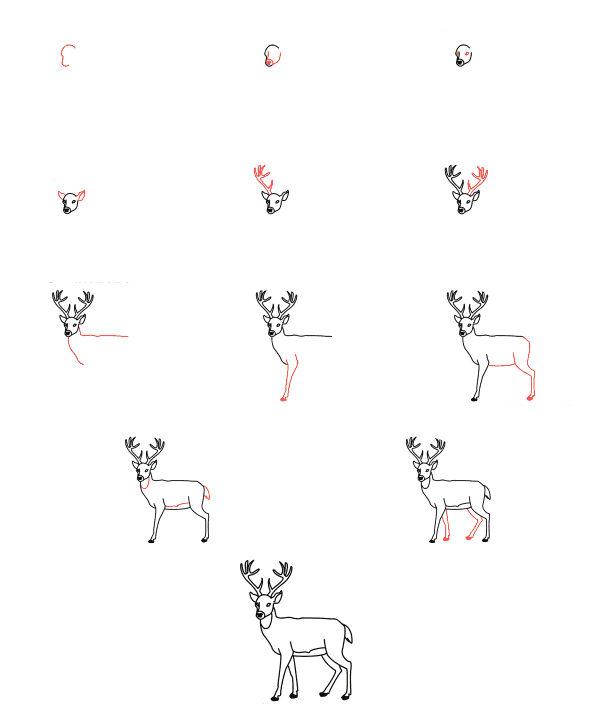 Cerf effrayé (1) dessin