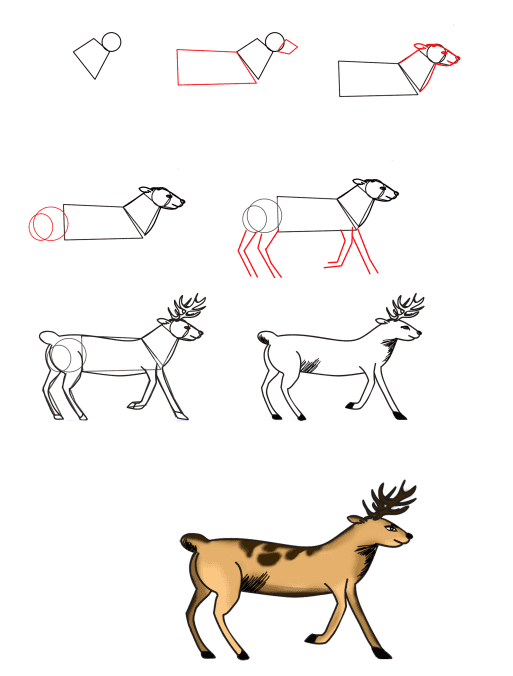 Cerf réaliste (2) dessin