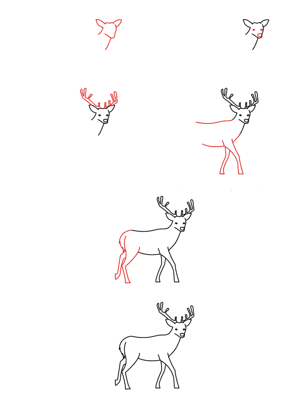 Cerf réaliste (4) dessin