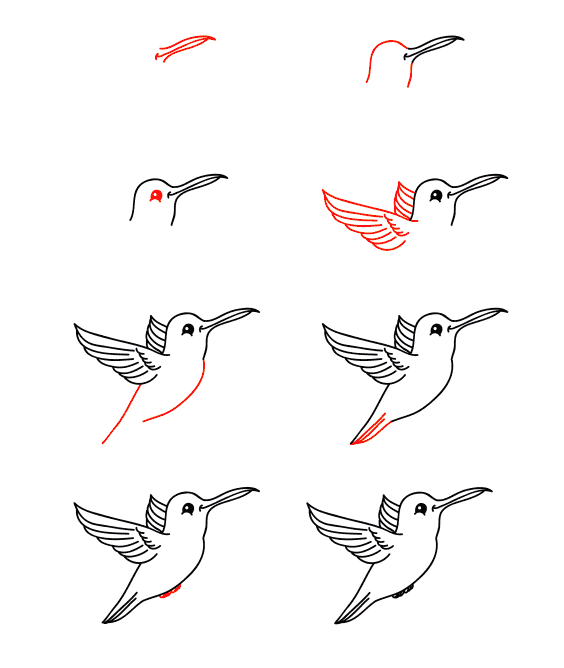 Colibri de dessin animé dessin