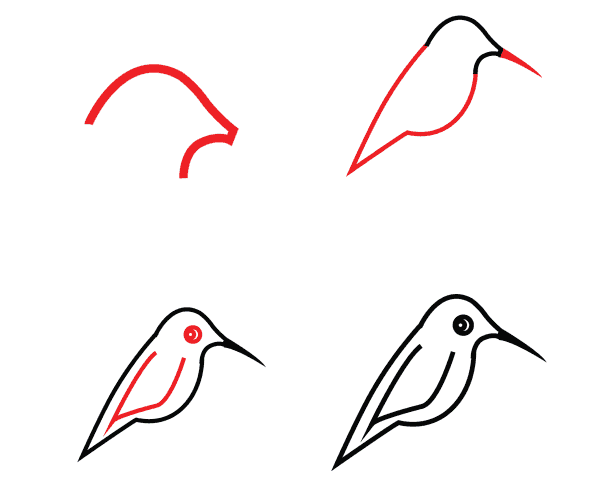 Colibri mignon dessin