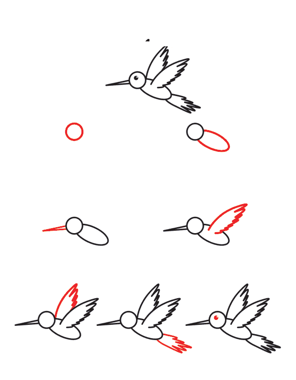 Colibri pour les enfants dessin