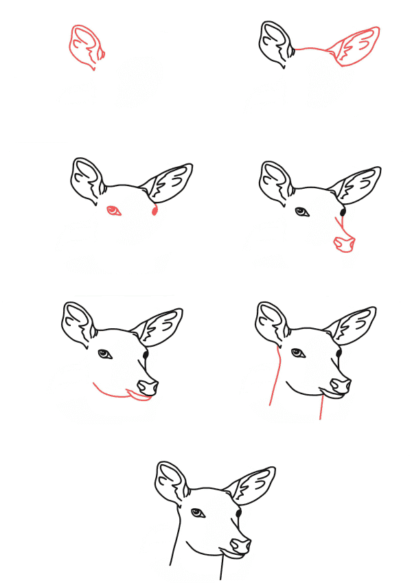 Deer head dessin