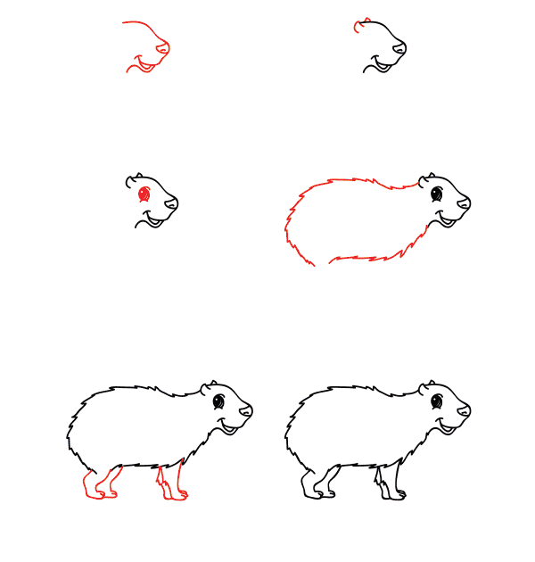 Dessin de Capybara simple (3) dessin