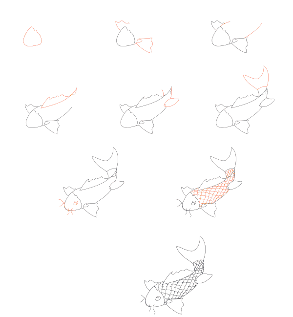 Dessiner un poisson koi simple (2) dessin