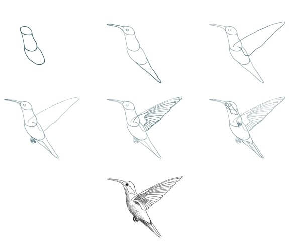 Idée colibri (10) dessin