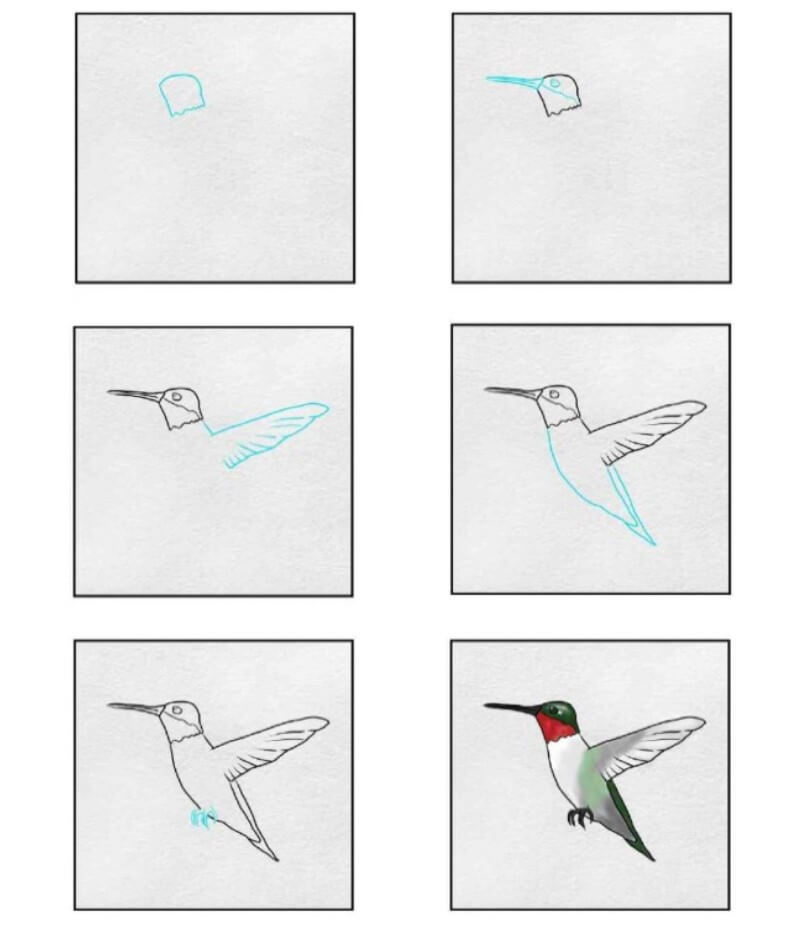 Idée colibri (11) dessin