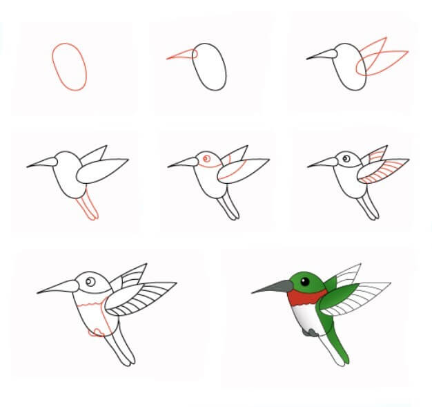 Idée colibri (12) dessin