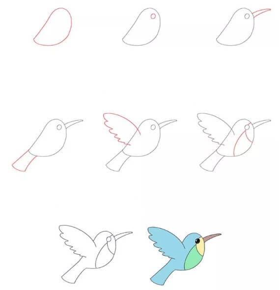 Idée colibri (13) dessin