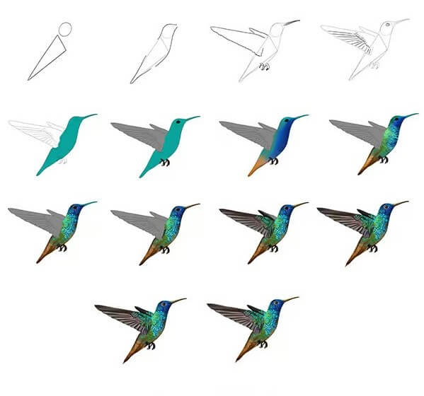 Idée colibri (14) dessin