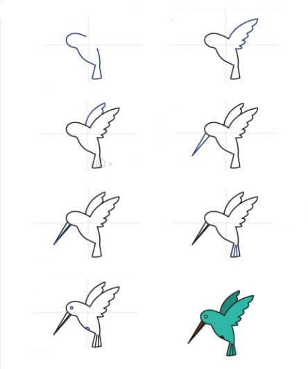 Idée colibri (16) dessin