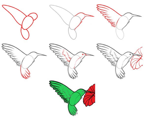 Idée colibri (17) dessin