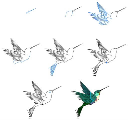 Idée colibri (18) dessin
