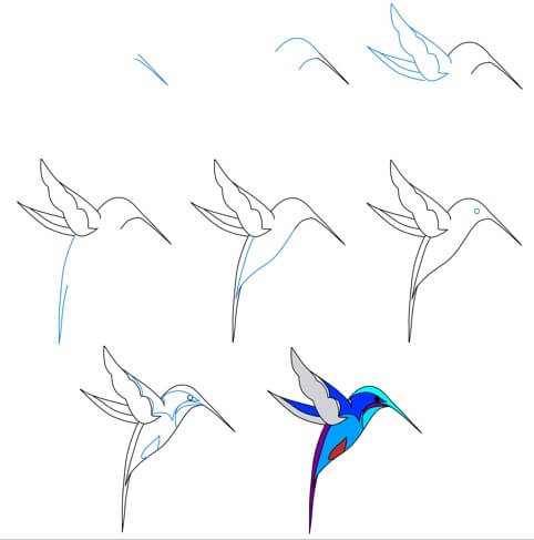 Idée colibri (19) dessin