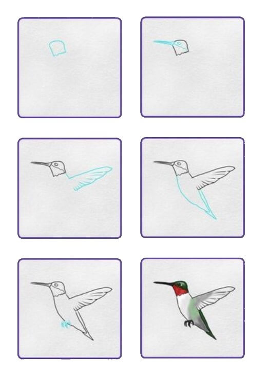 Idée colibri (2) dessin