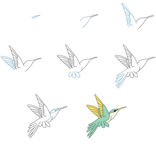 Idée colibri (21) dessin