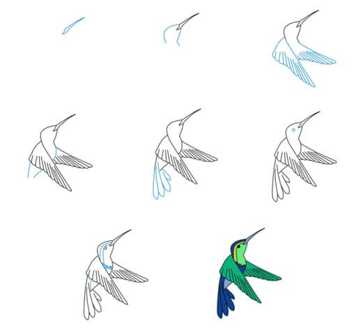 Idée colibri (22) dessin