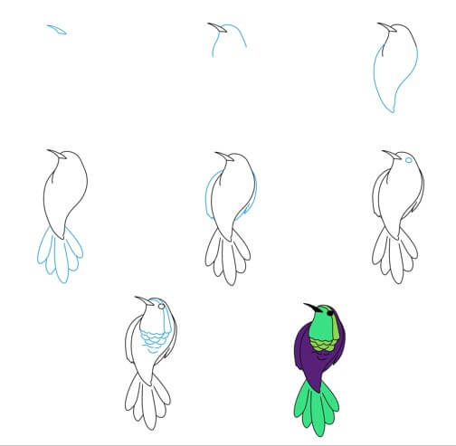 Idée colibri (23) dessin