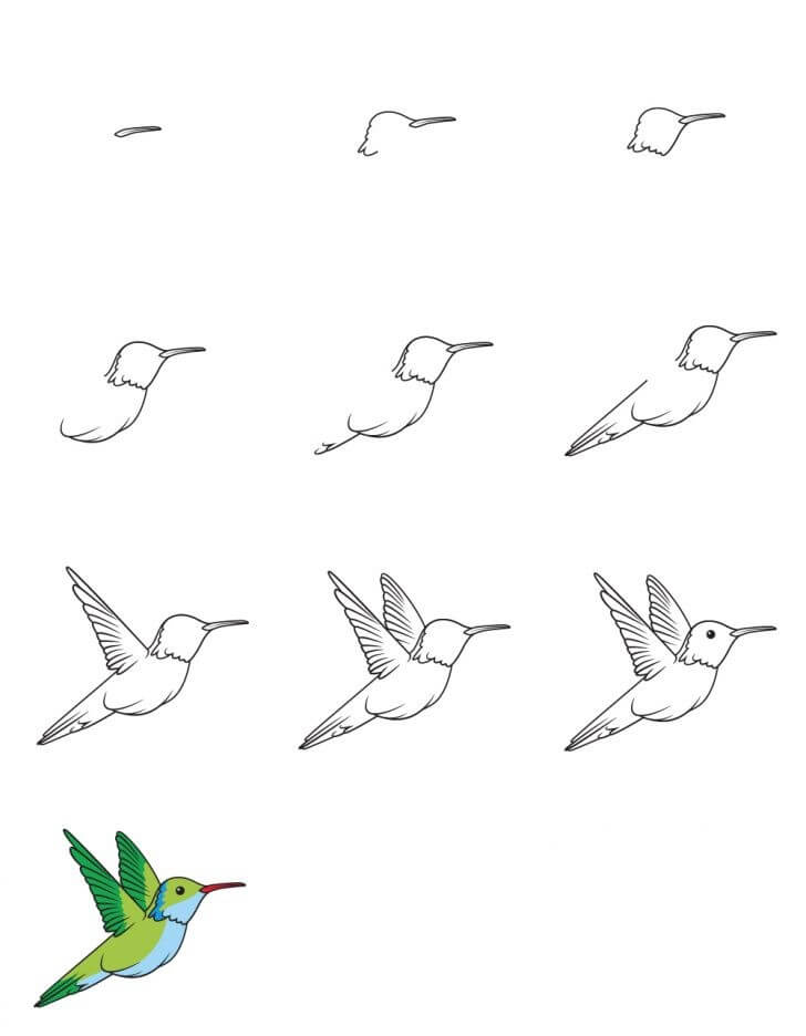 Idée colibri (25) dessin