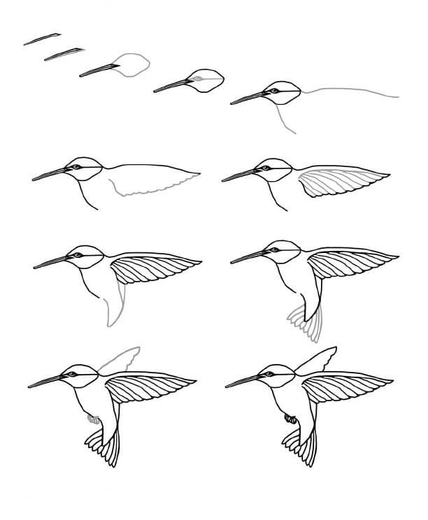 Idée colibri (26) dessin