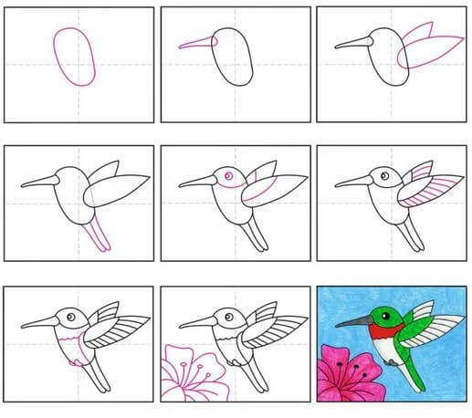 Idée colibri (3) dessin