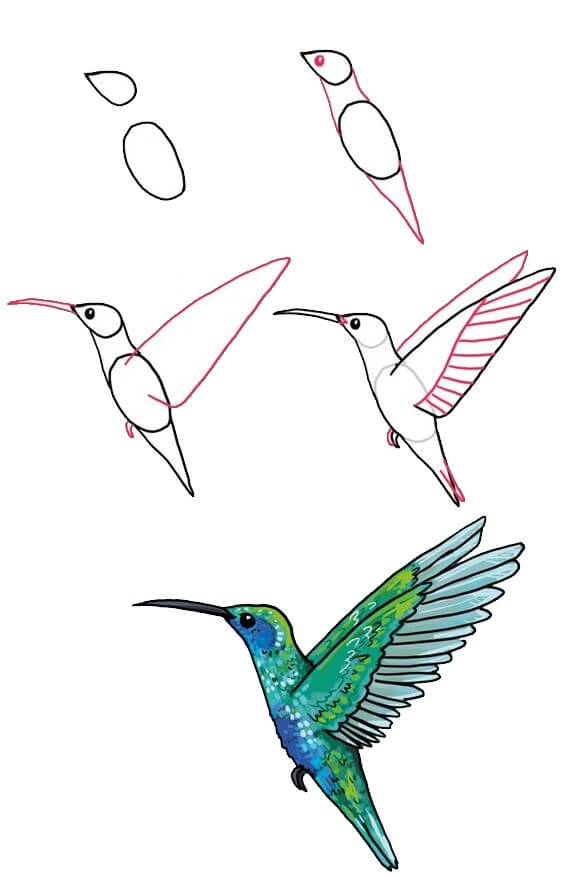 Idée colibri (4) dessin