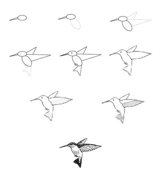 Idée colibri (5) dessin