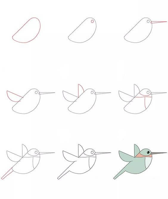Idée colibri (6) dessin