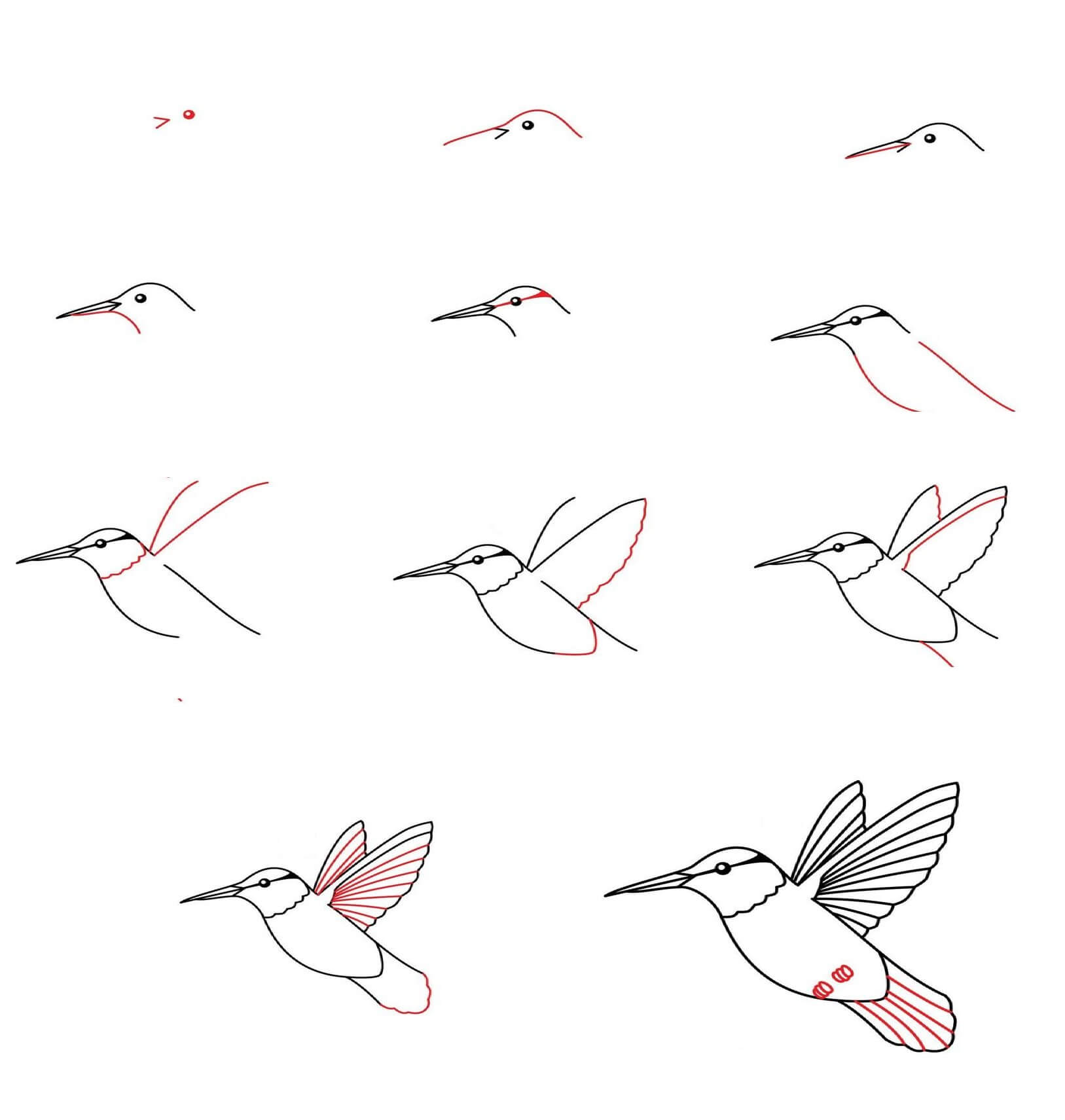 Idée colibri (8) dessin
