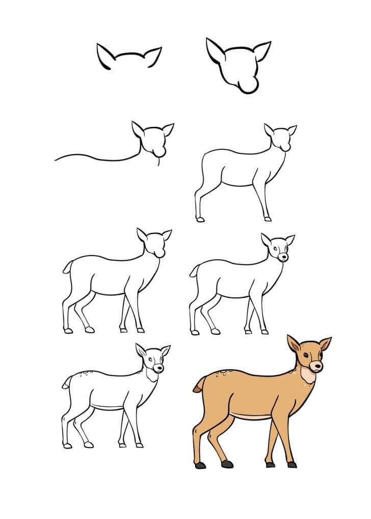Idée de cerf (1) dessin