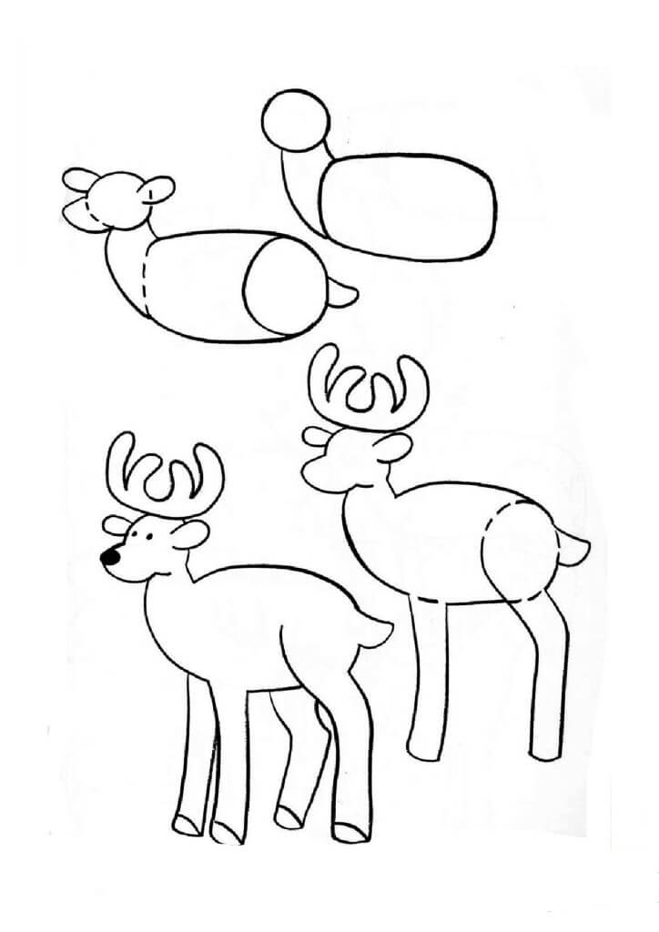 Idée de cerf (20) dessin