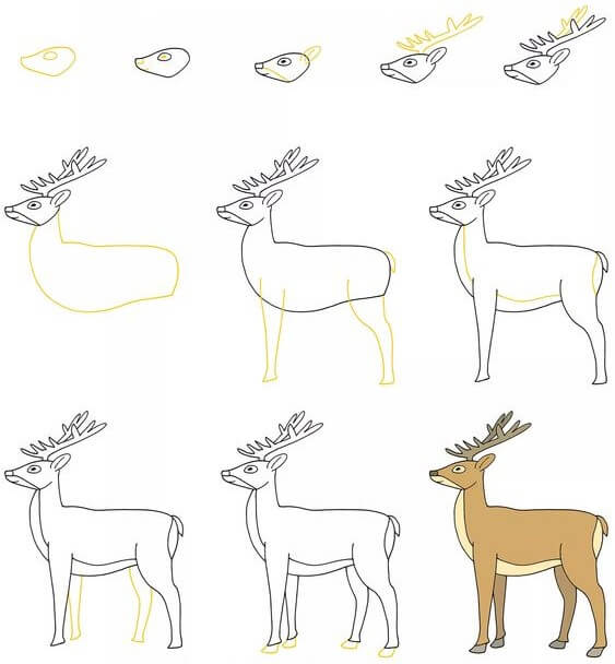 Idée de cerf (9) dessin