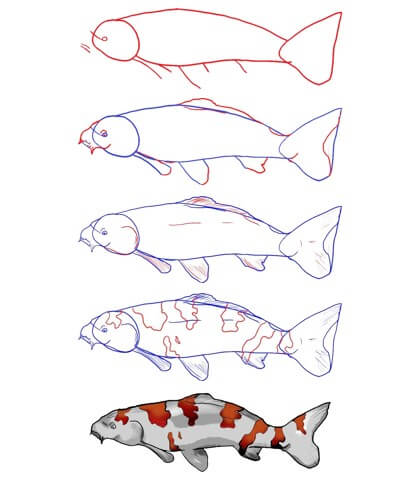 Idée de poisson Koi (22) dessin