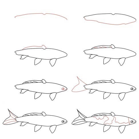 Idée de poisson Koi (25) dessin