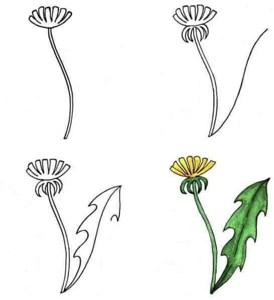 Idée fleur (11) dessin